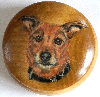 terrier zibby box